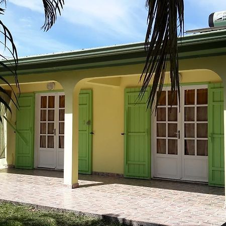 La Villa Des Palmes Bois d'Olive Екстериор снимка